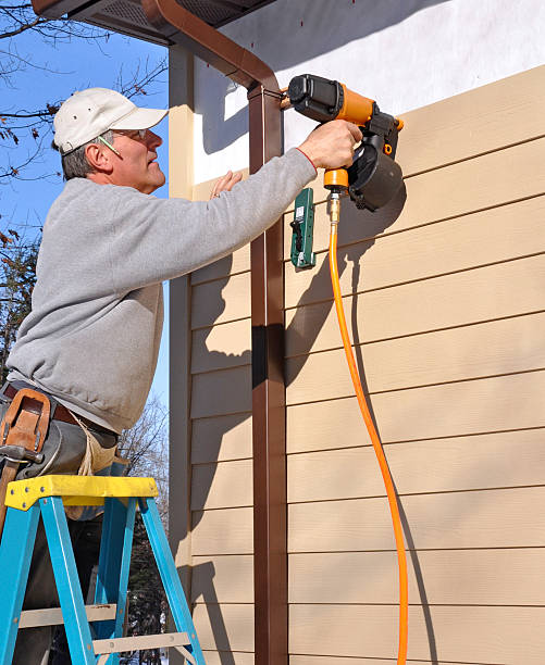 Best Fascia and Soffit Installation  in USA